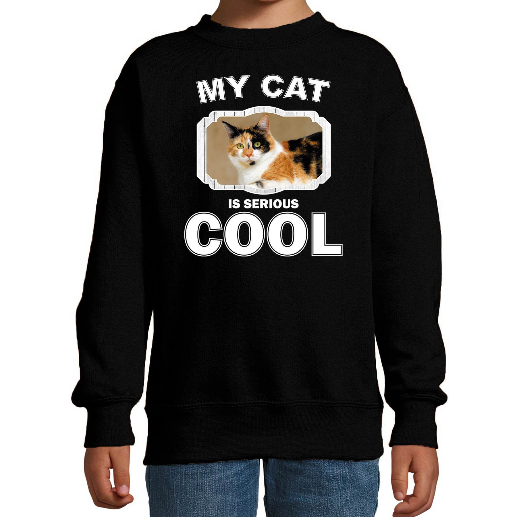 Lapjeskat katten trui / sweater my cat is serious cool zwart voor kinderen