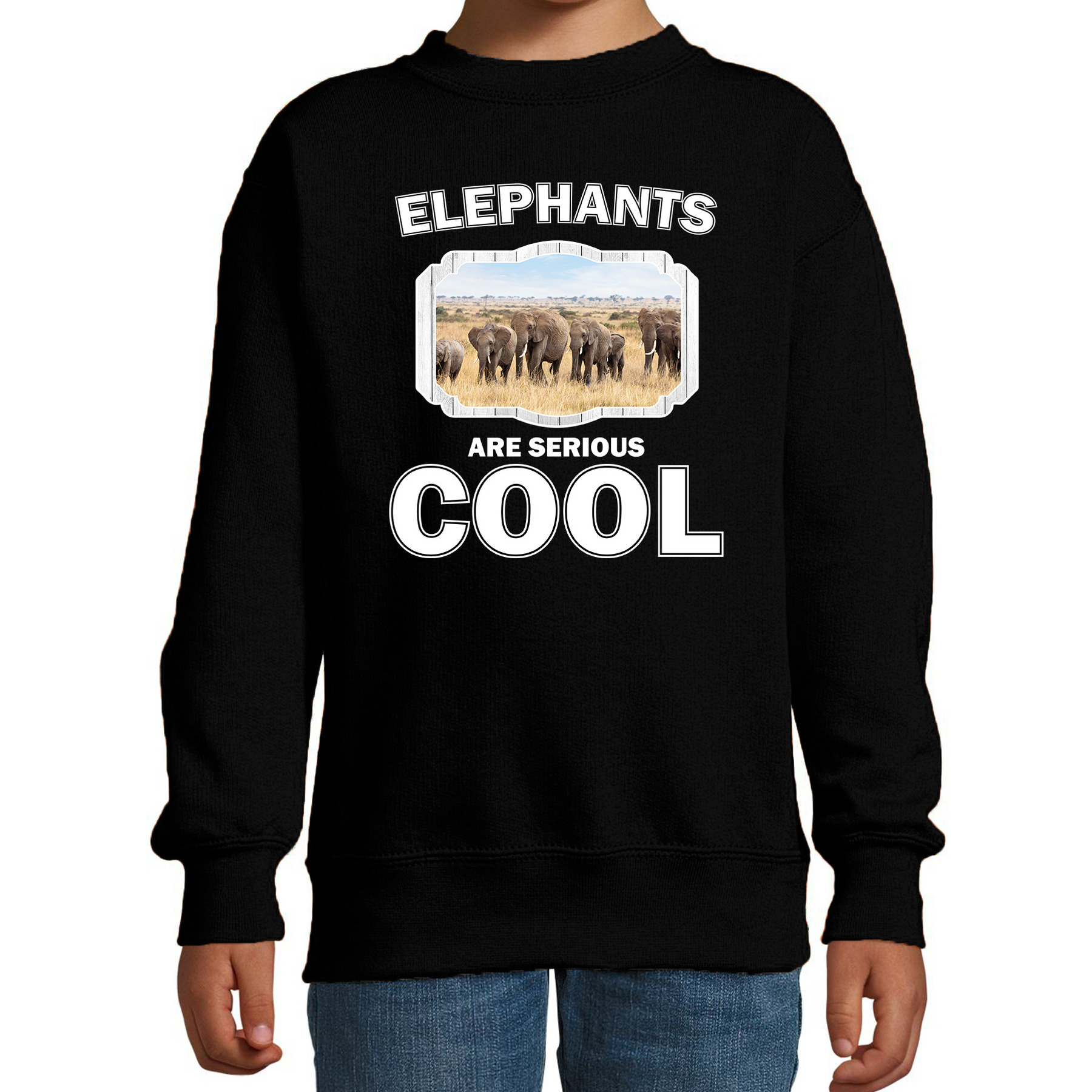 Dieren kudde olifanten sweater zwart kinderen - elephants are cool trui jongens en meisjes