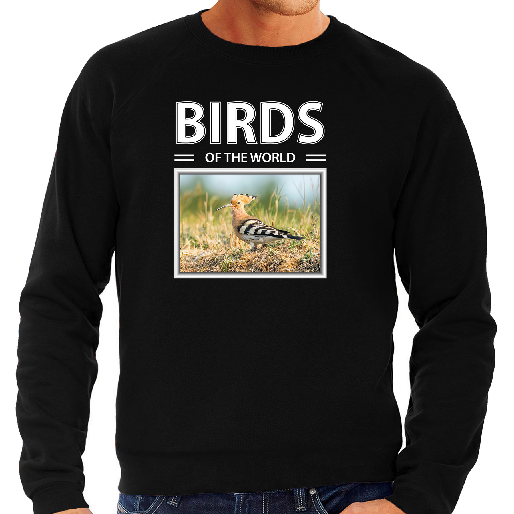 Hop vogels sweater / trui met dieren foto birds of the world zwart voor heren