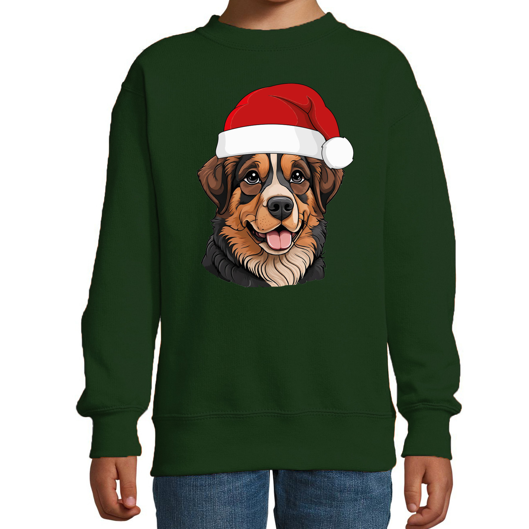 Kersttrui / sweater honden - kinderen - Berner Sennenhond - groen - kerstmuts - Kerstmis