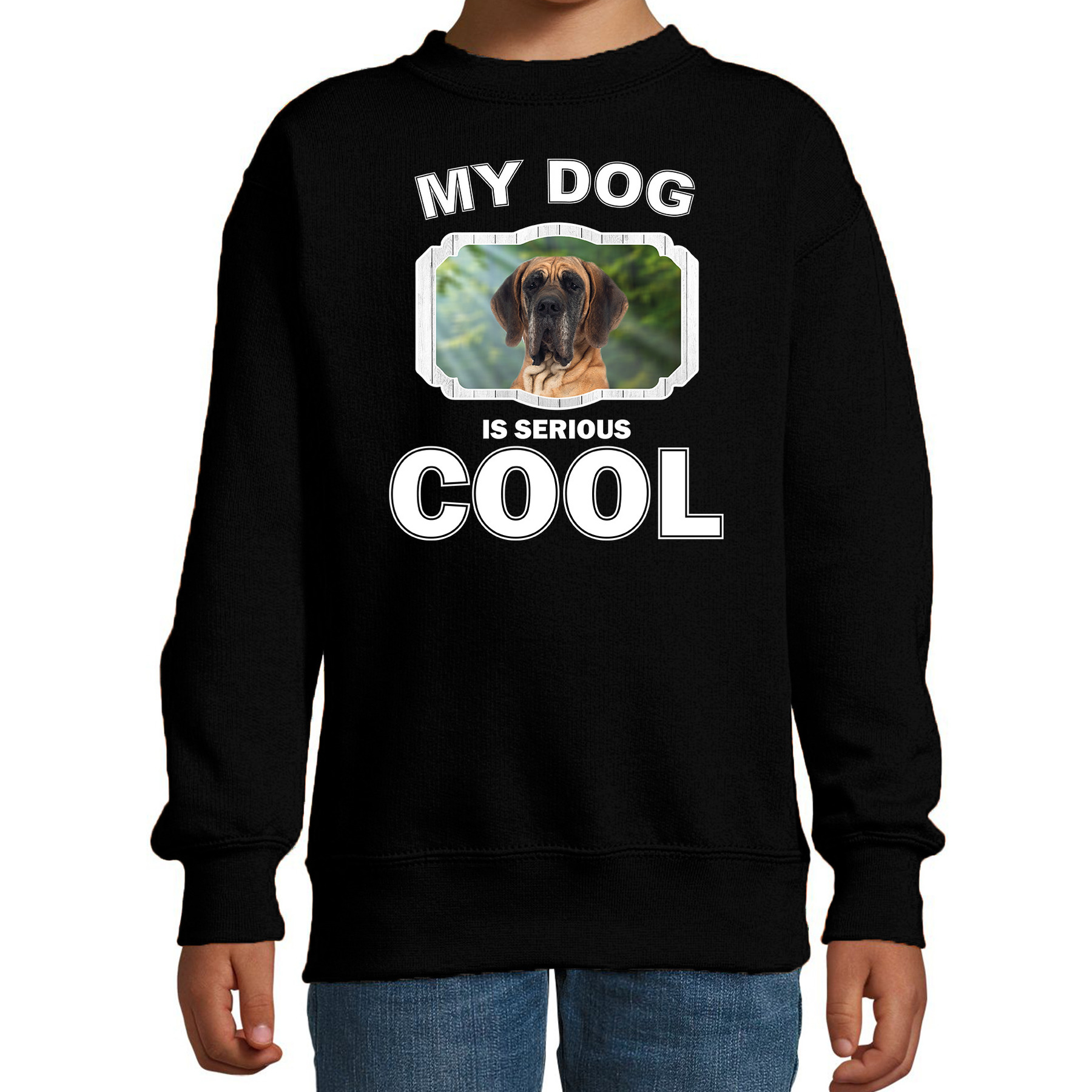 Deense dog honden trui / sweater my dog is serious cool zwart voor kinderen