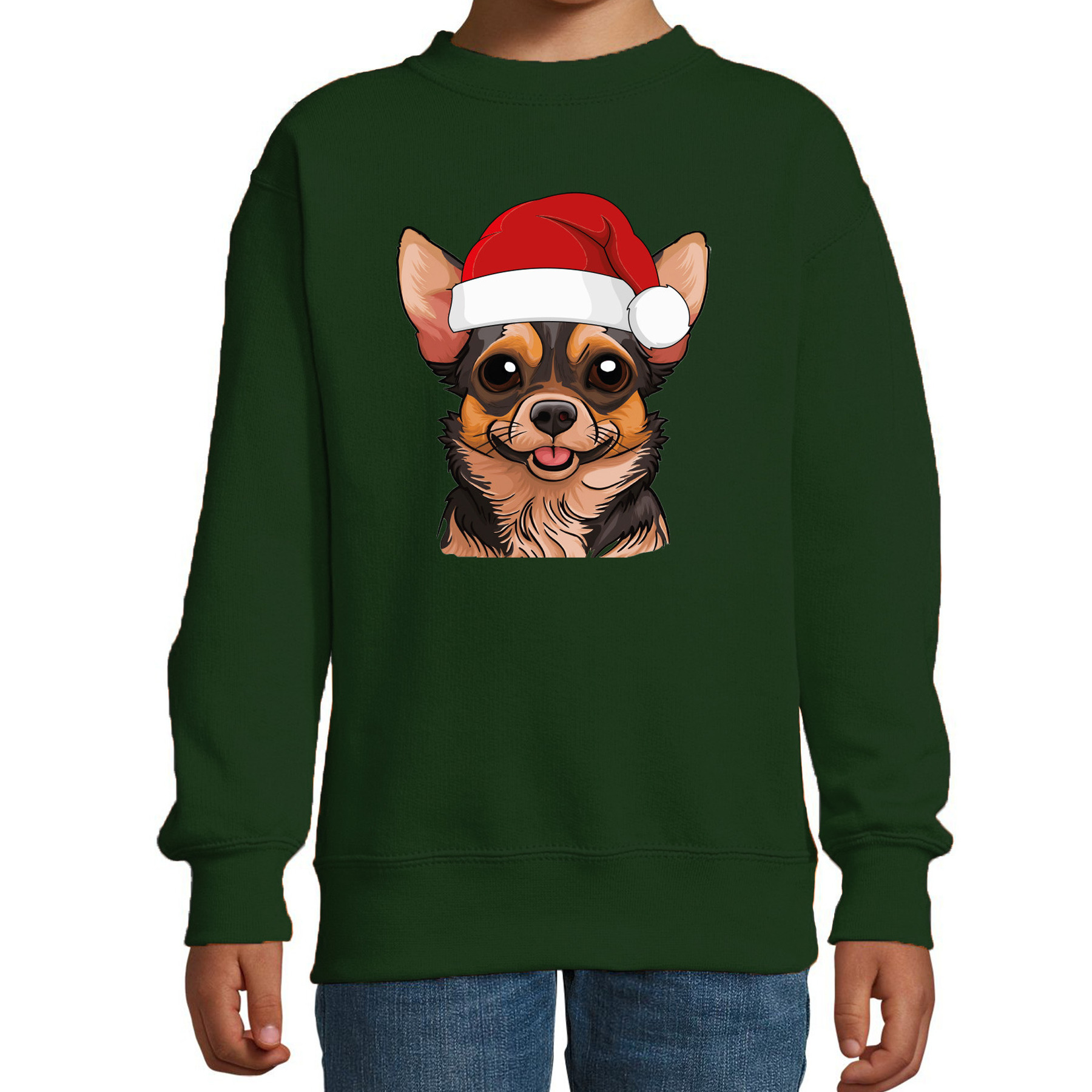 Kersttrui / sweater honden - kinderen - Chihuahua - groen - kerstmuts - Kerstmis