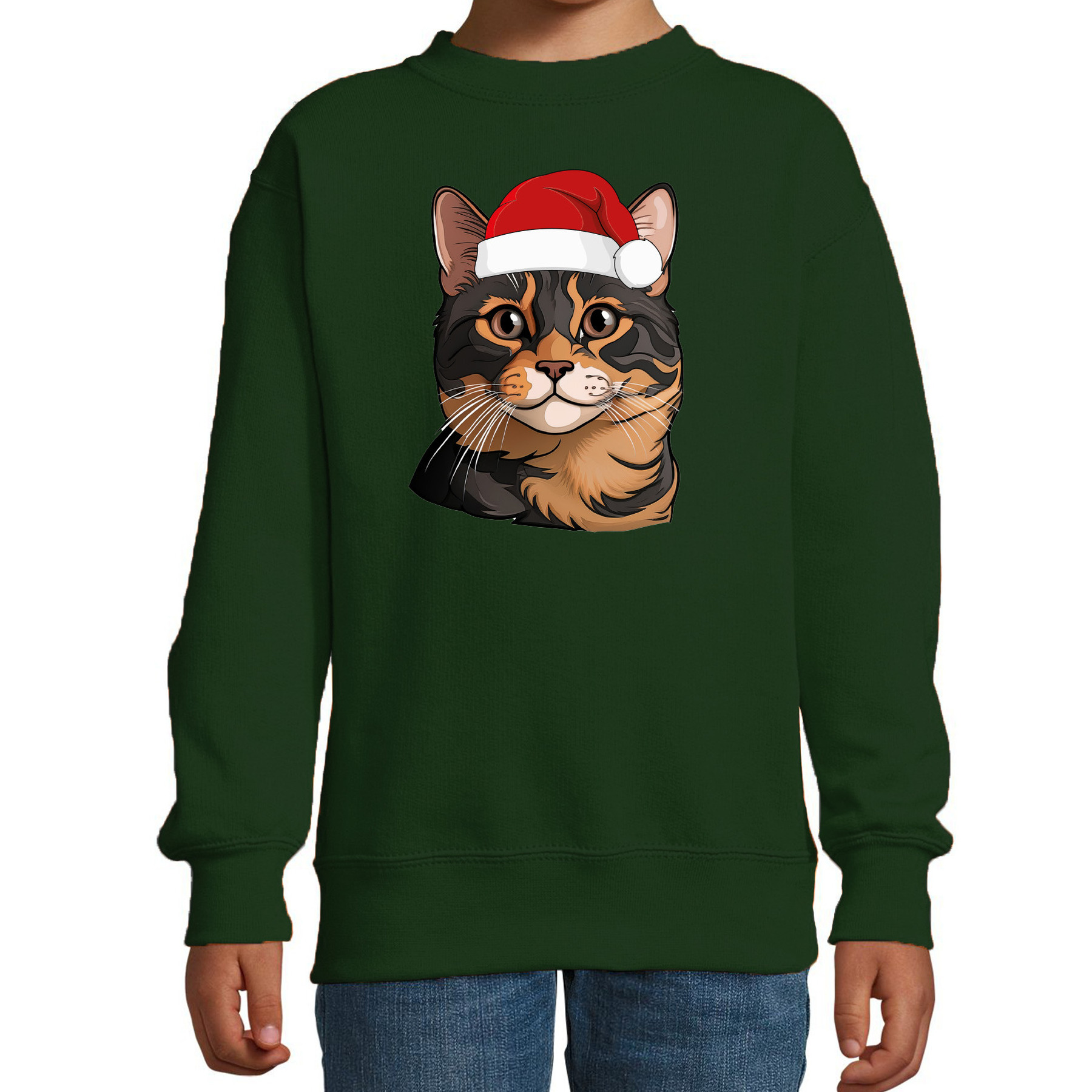 Kersttrui / sweater katten/poezen - kinderen - bruine kat/poes - groen - kerstmuts - Kerstmis