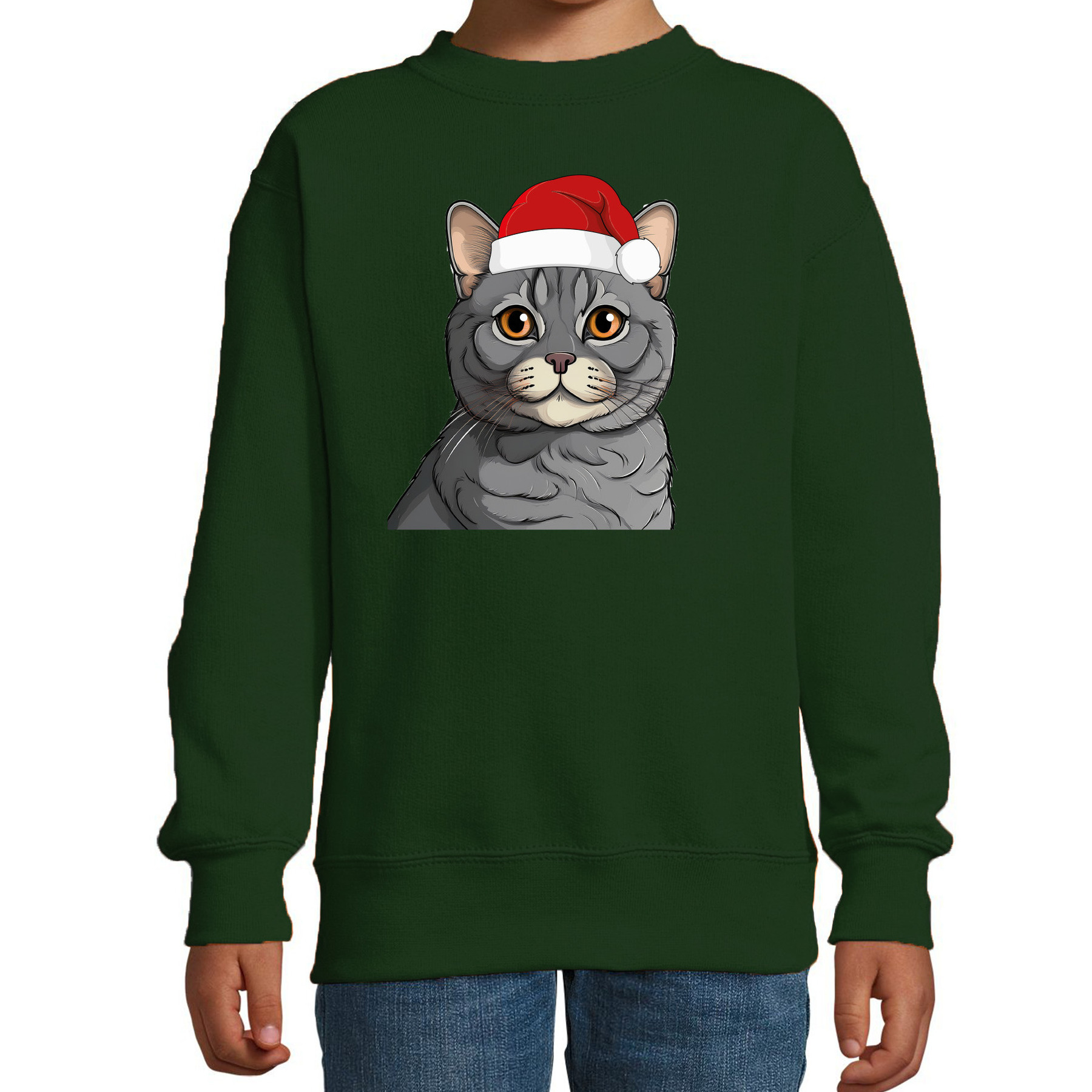 Kersttrui / sweater katten/poezen - kinderen - grijs kat/poes - groen - kerstmuts - Kerstmis