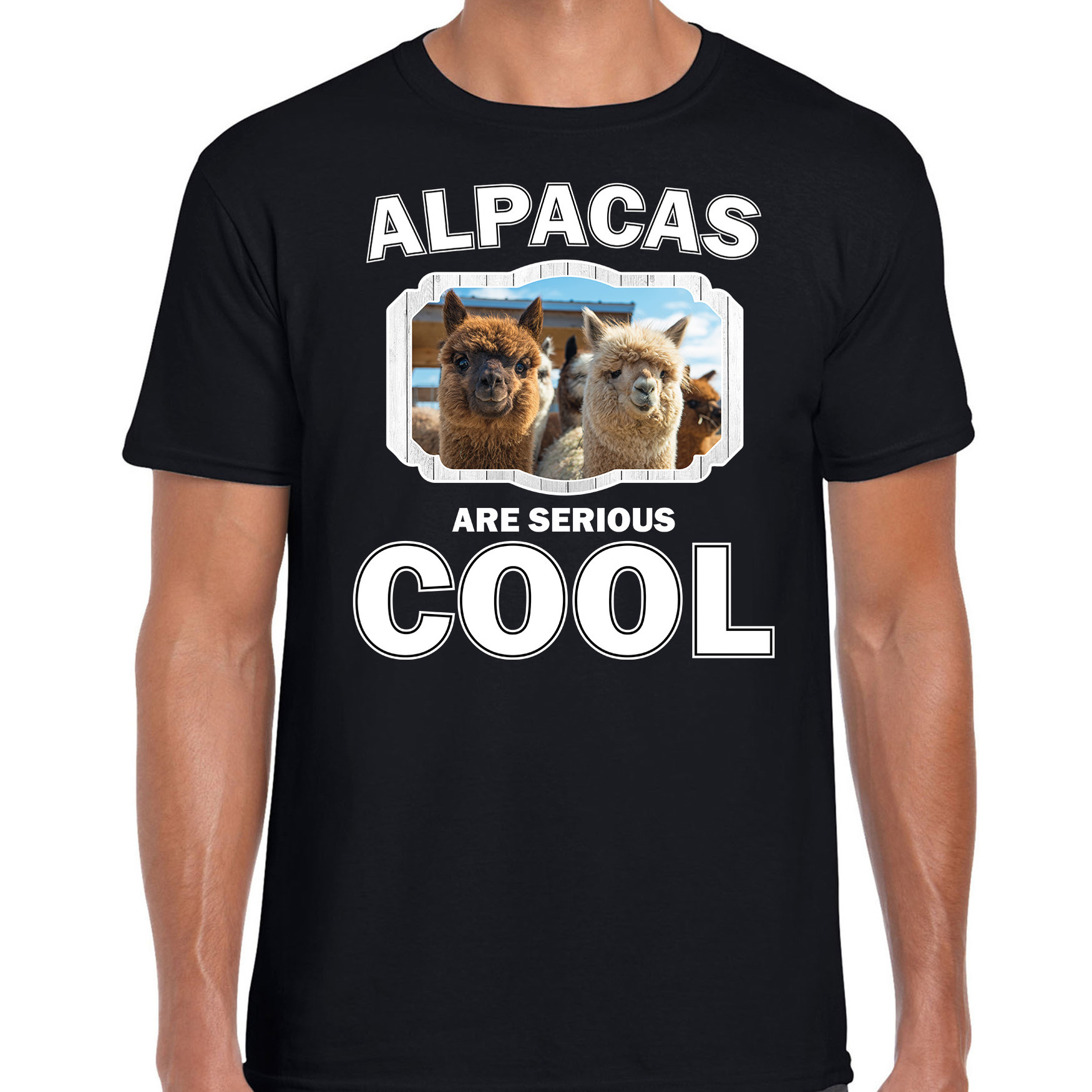 Dieren alpaca t-shirt zwart heren - alpacas are cool shirt